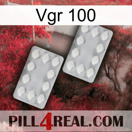 Vgr 100 17